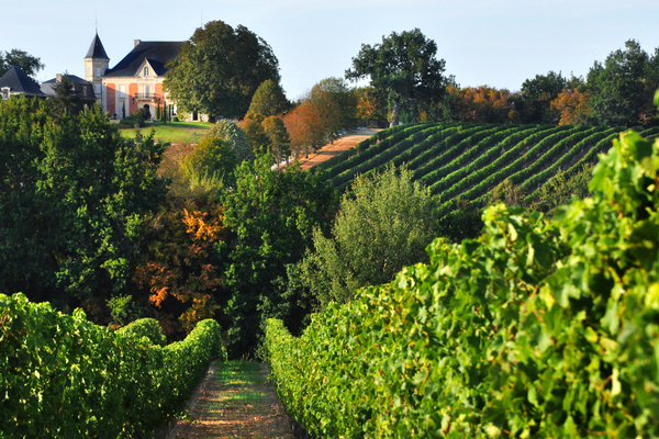 The Bordeaux region, its wines and their correct wine serving temperatures