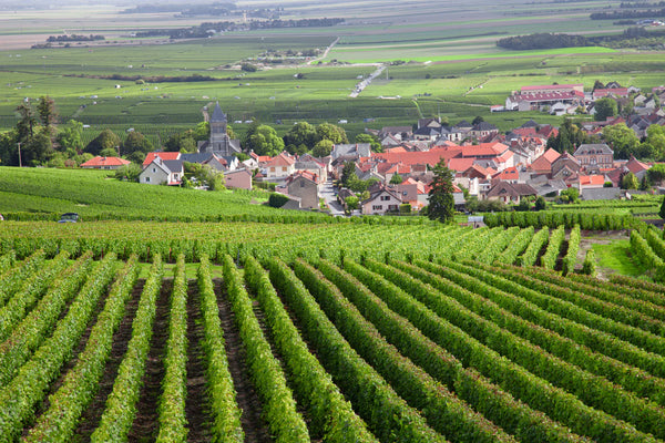 The Burgundy region, its wines and their correct wine serving temperatures
