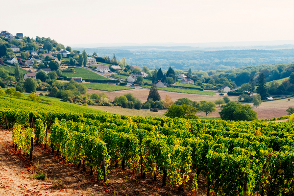 The Loire Valley, Its wines, and their correct wine serving temperatures