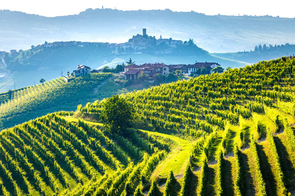 The Piedmont region, its wines and their correct wine serving temperatures