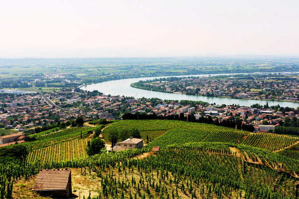 The Rhône region, its wines and their correct wine serving temperatures