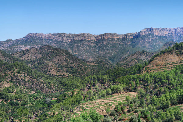 The Priorat region, its wines and their correct wine serving temperatures